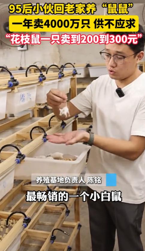 “这简直是捡钱啊！”8月27日，浙江湖州，一名95后小伙子回乡养鼠，一年能卖出去