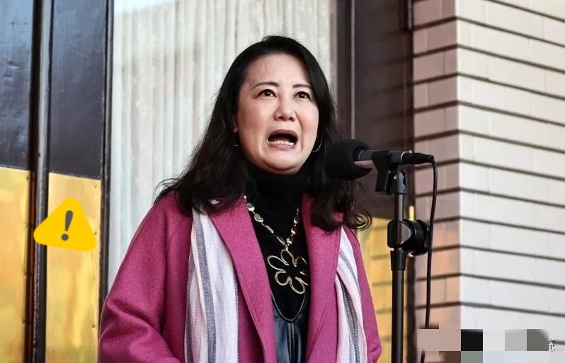 大陆查处刘世芳外甥颜文群，吴思瑶立马跳出来叫嚣，嘴脸实在太难看！她作为刘世