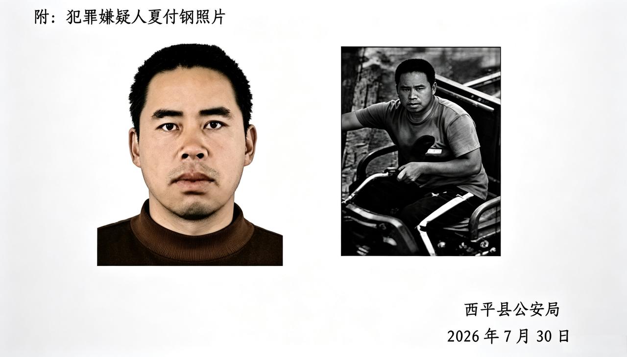 51岁夏付钢亡命出逃，再念家也躲不掉法网，冲动毁了两代人河南西平这起命案看得