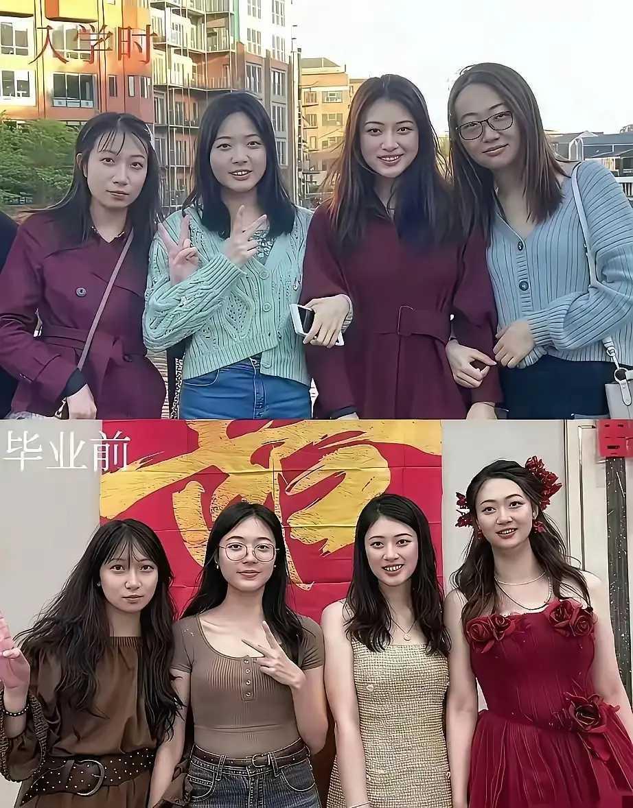 四年前懒得追，四年后追不上了