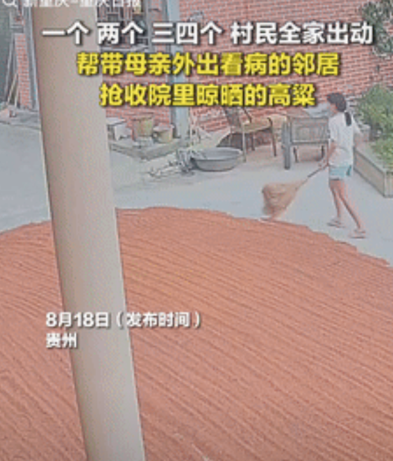 太暖心了！贵州，一男子带母亲外出看病时，突然要下暴雨，可家里晒得粮食还没收，男子