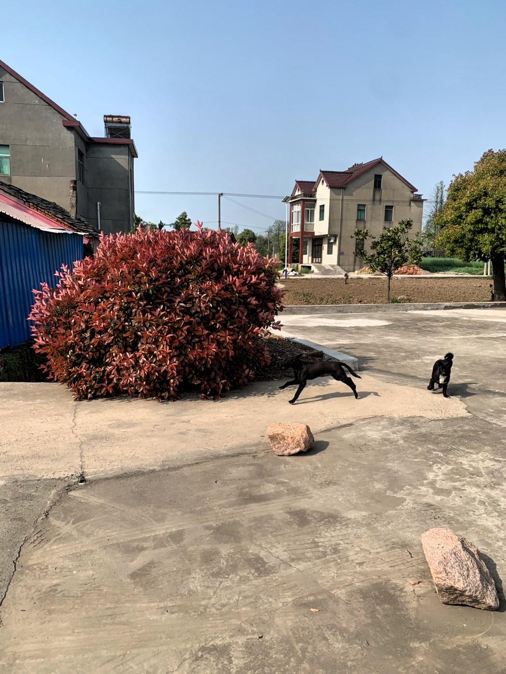 社会上有这样的人，每月都和一群朋友聚在一起吃喝玩乐。手头宽裕时，隔三岔五就约