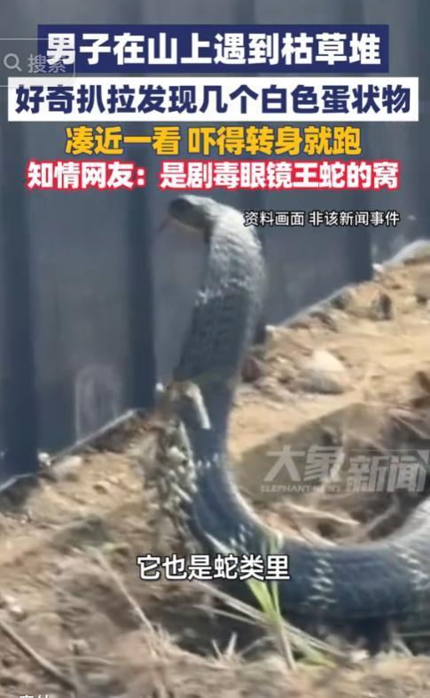 5月18日广州交通电台报道，广东野外发生惊险一幕，视频流传出来让人头皮发麻，一名