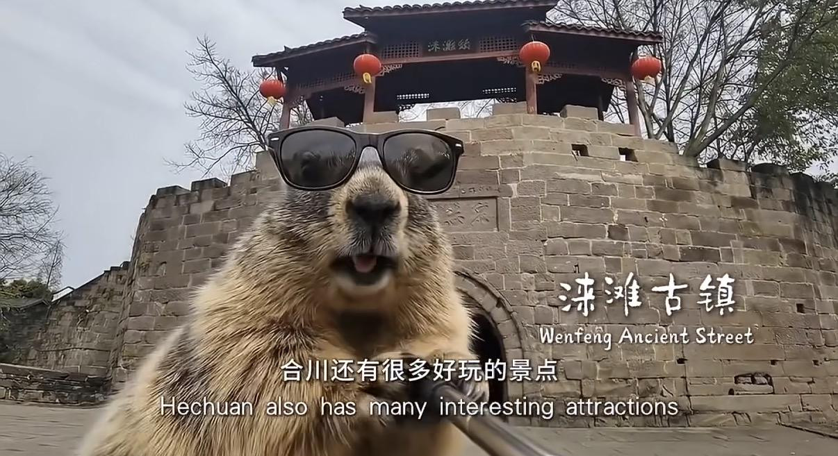 全球首个实时生成世界模型无限流AI真的来了现在AI视频的玩法越来越多了…以前是