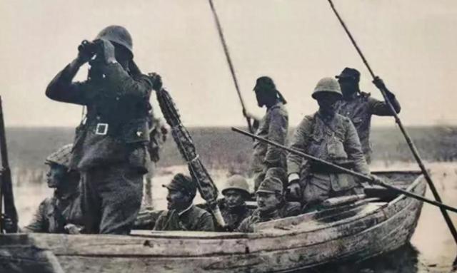1944年，游击队因叛徒告密，躲进芦苇荡里啃了一个月芦苇，出来后却看到一名吃得白
