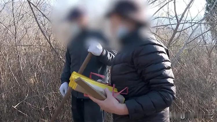 男子隐瞒妻子的墓地，岳父母苦寻四年！这事儿真是让人唏嘘。小宁和刘先生本是高中同学