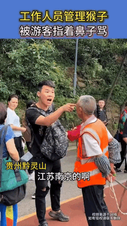 “你再打猴子，我就打你！”贵州，黔灵山公园一工作人员正在管理一群猴子，因为公园内