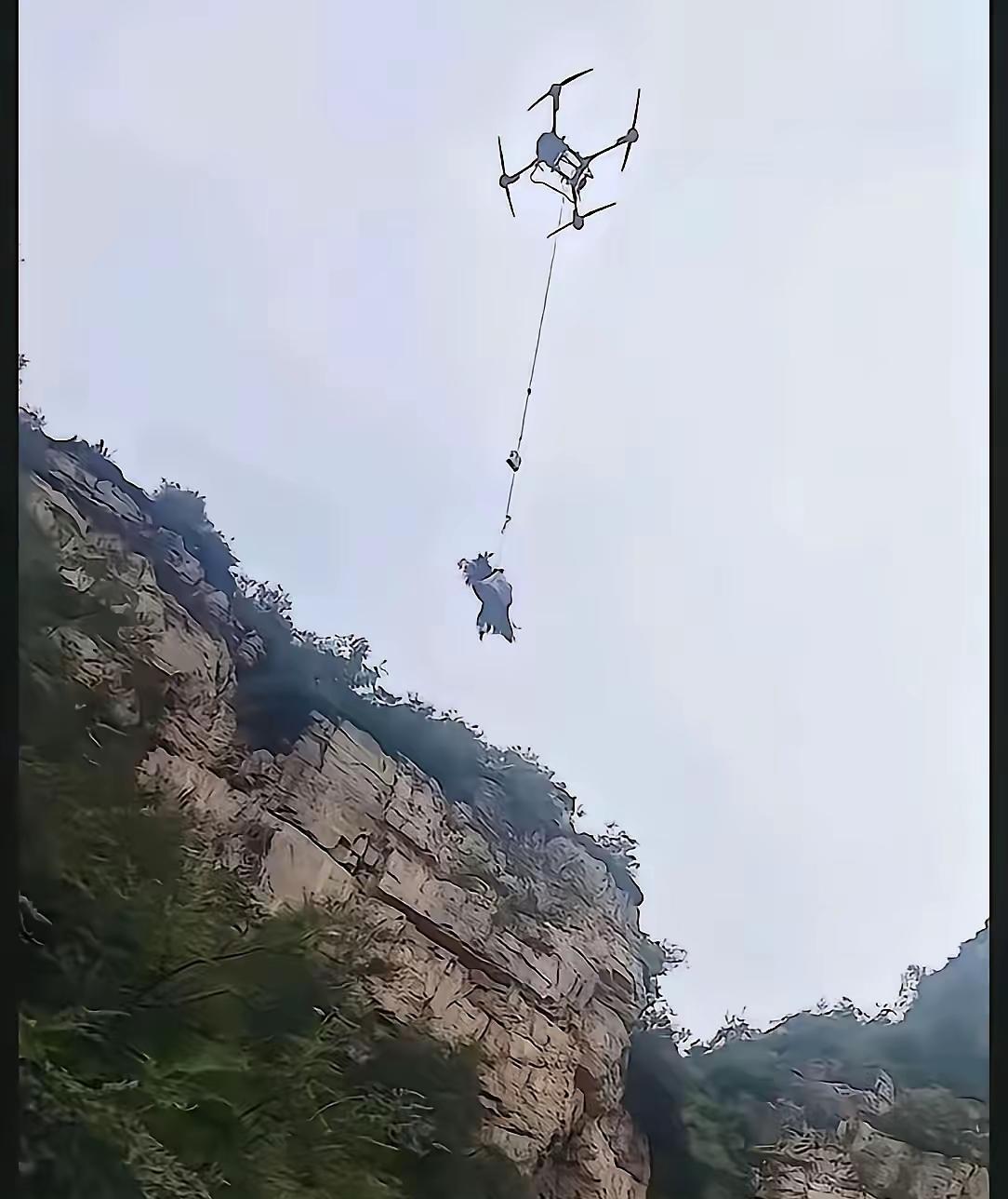 她是背着双肩包独自一人欢快地上的山，14天后被重载无人机吊运下的山。去时轻松欢快