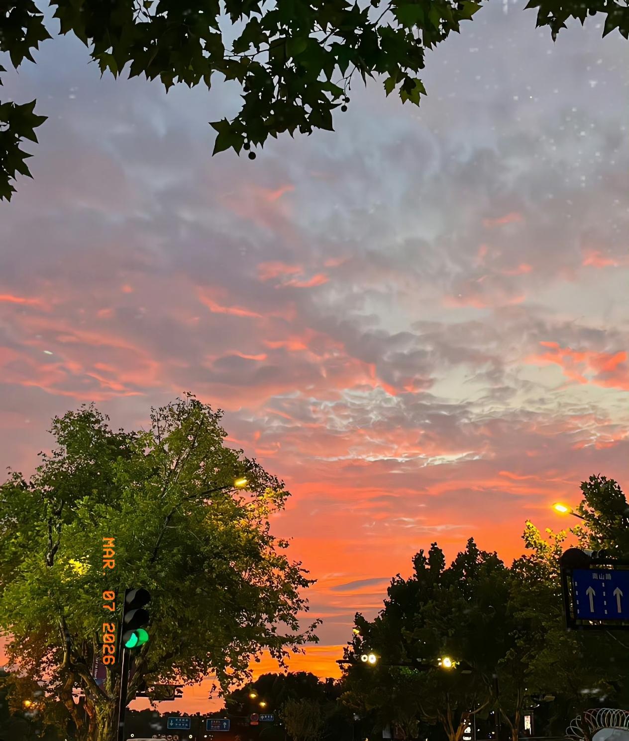 我老公的表妹，婚姻算是彻底栽了个大跟头。她离婚，既不是性格不合，也不是家里