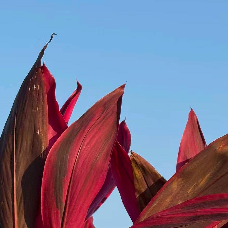 山东：执纪审查1人 4月1日，该省执纪审查1人，为烟台市原官员包华。 此