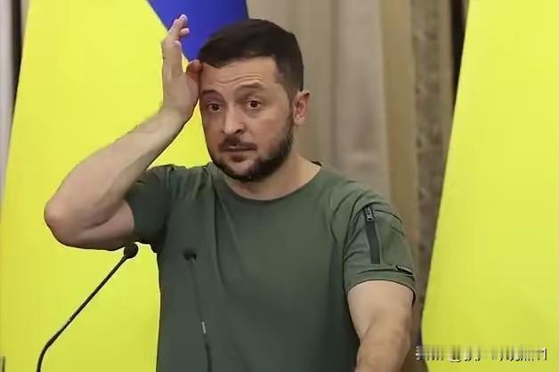 泽连斯基也许在这一刻，终于看明白了，他曾经是多么的可笑，为了能够加入北约，他低三