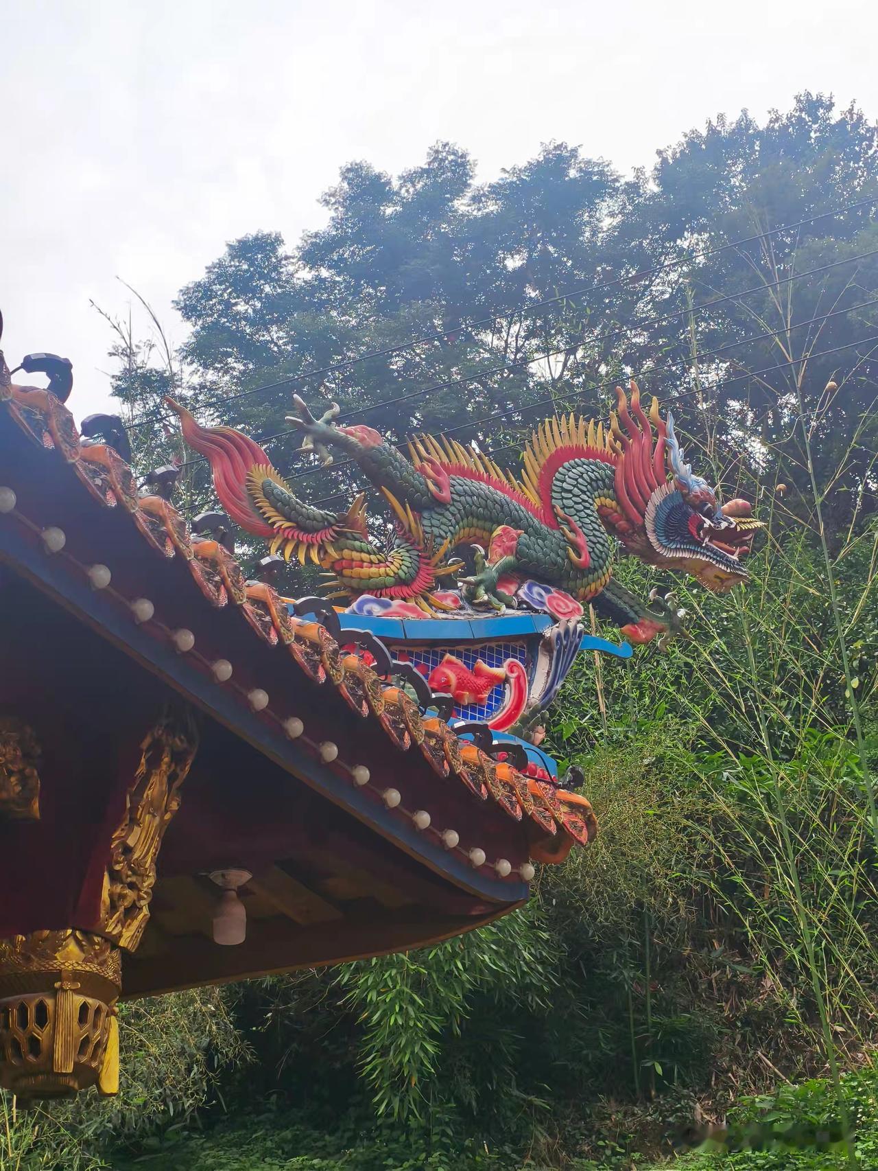 中医人的孤岛思维要不得中医不是中医人的中医，中医应该是所有人的中医，今天的。