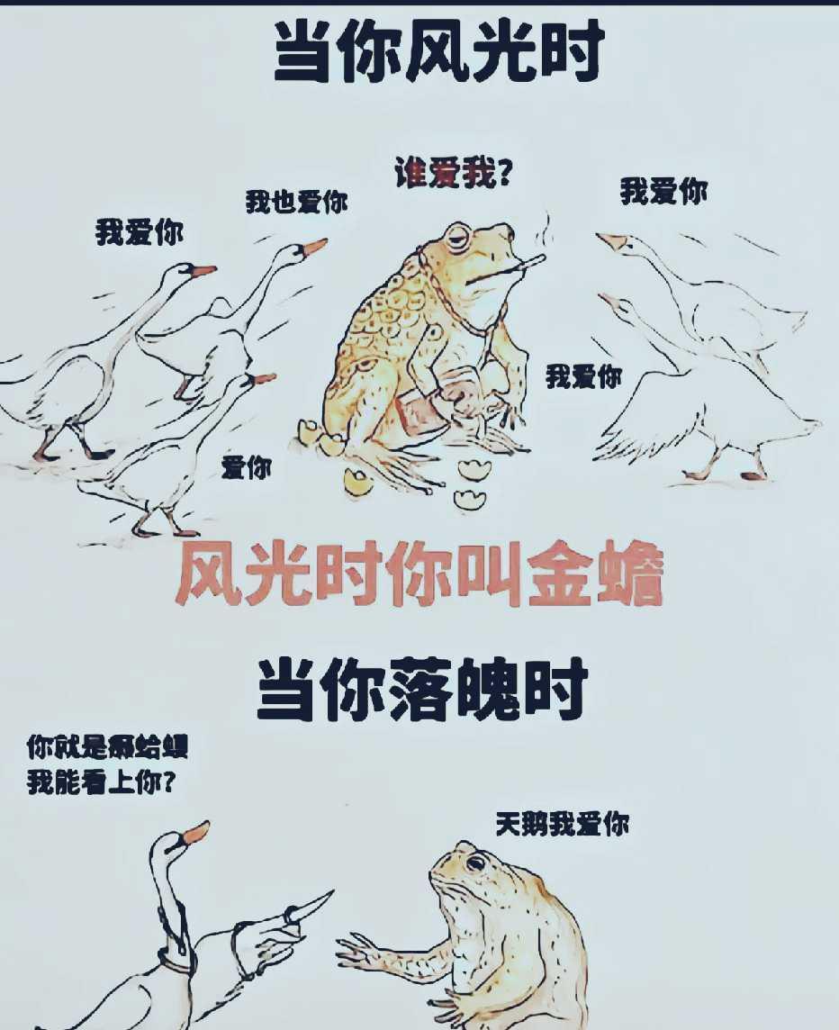你风光的时候是什么样的？