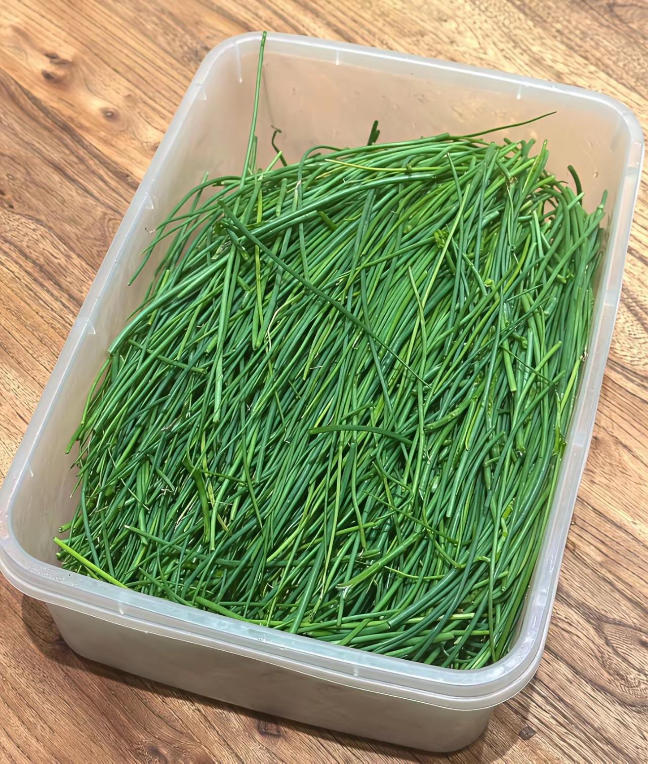 沙葱！甘肃敦煌吃过！非常好吃。沙葱炒蛋35元[捂脸哭]