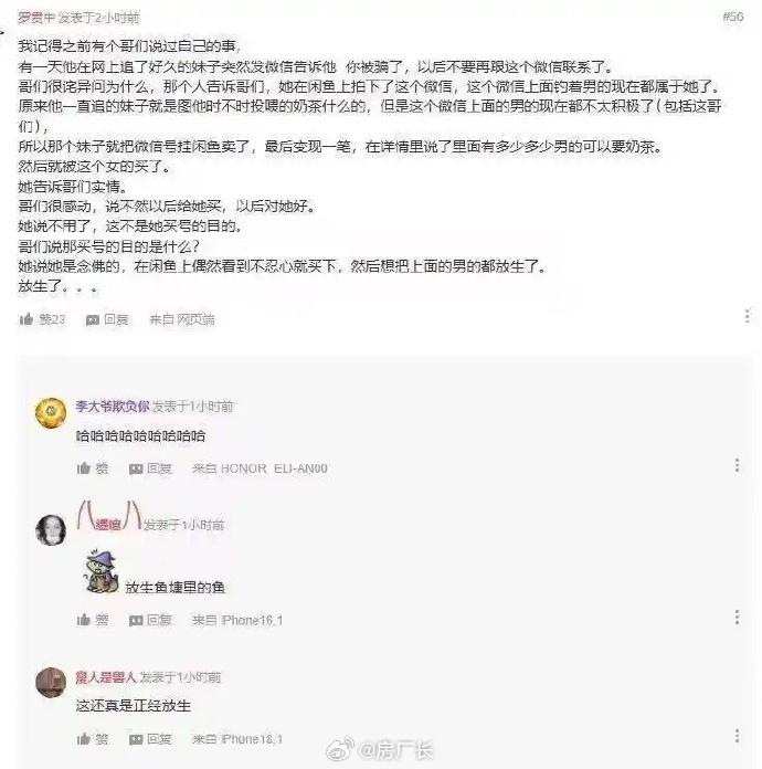 电子木鱼纯抽象，这个赛博放生似乎真能积德[666]