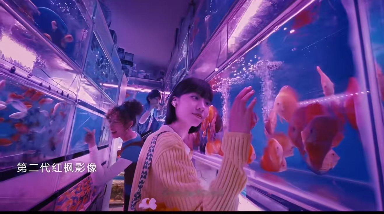 第二代红枫、超高动态主摄、长焦微距慢动作……华为Mate80ProMax的