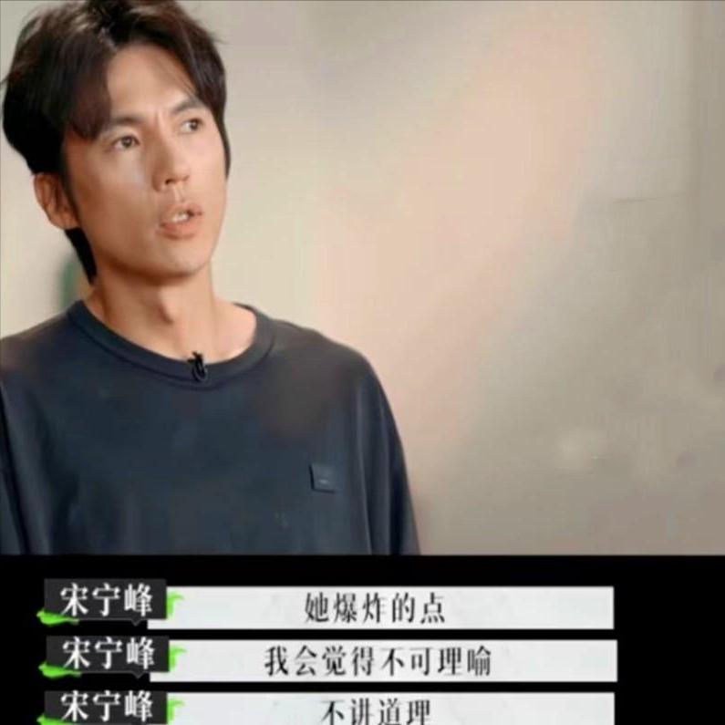 真的被张婉婷这段聊天记录惊到了。本来大家都站她，觉得她被宋宁峰和Q女士欺负得够