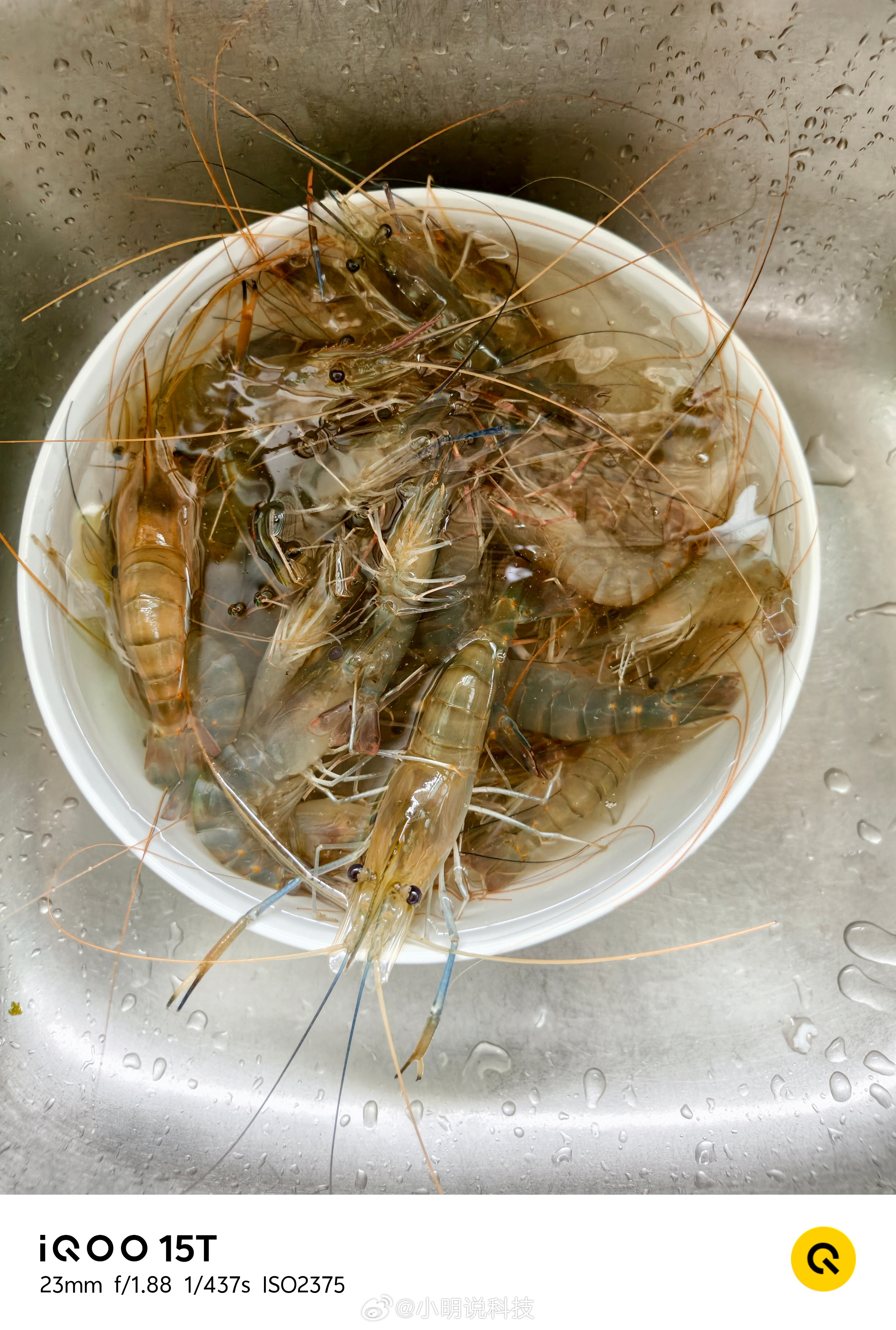 周末一放假，丫头就开始给我“点菜式安排”，虾、鱼、韭黄炒蛋，一个不落，还顺带加了