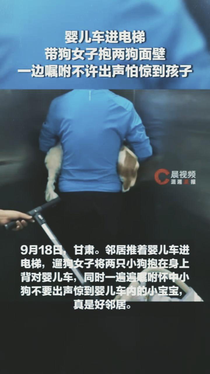 9月18日，甘肃。电梯门一开，一位妈妈推着婴儿车进来。抱着两只小狗的女子没说一句
