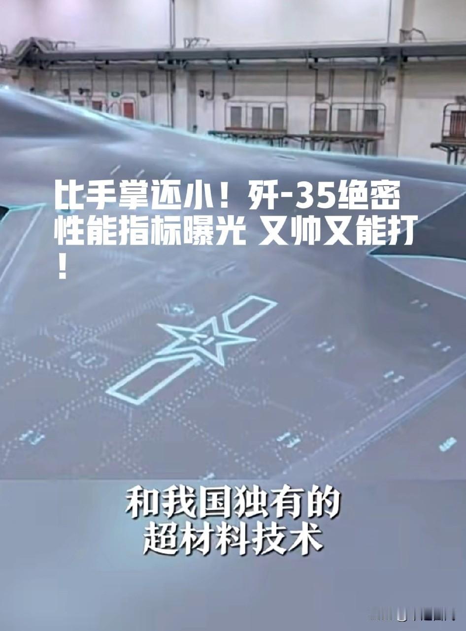 我就说嘛，搞折叠肯定要新的隐身材料了，不然总是像老美那样搞维护，总有一天心态要蹦