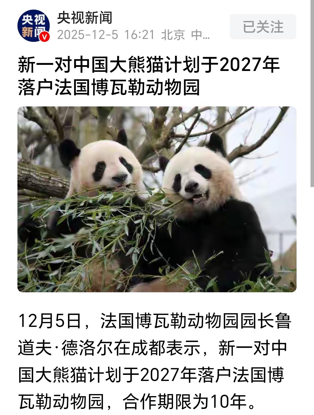 马克龙这一趟收获满满，要到大熊猫了。一对比，日本失去大熊猫了。这就是差别