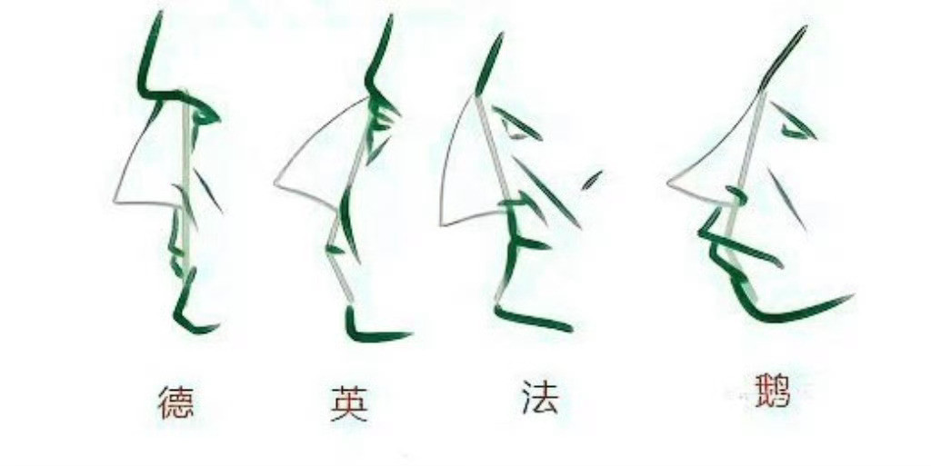 冷知识：教你如何区分欧洲人种。