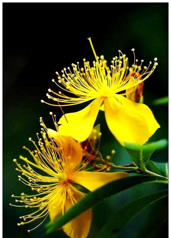 杭州市现有百岁老人1929位，最年长的110岁。相关部门对其中的402位做了调