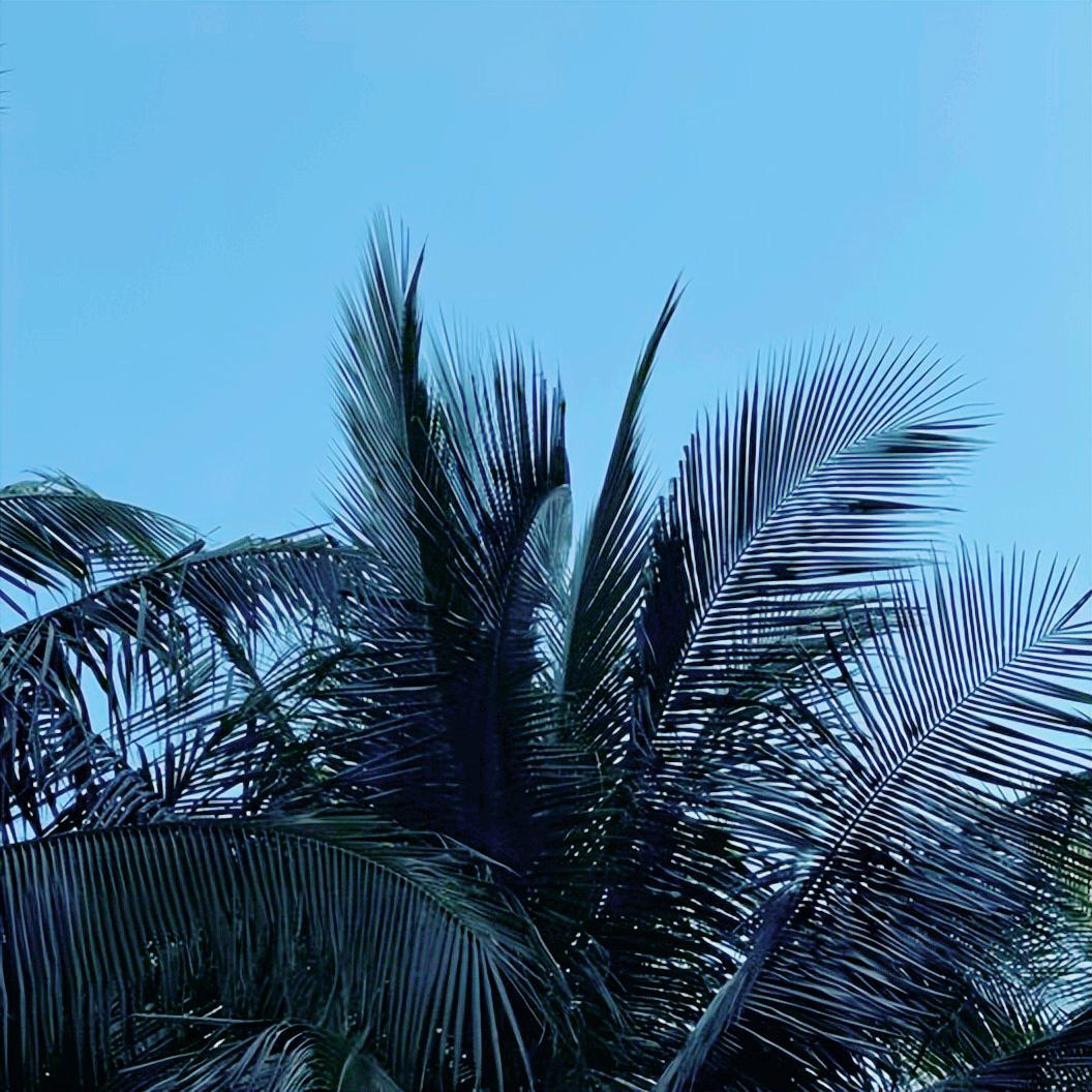 国务院安委会办公室就开展安全生产工作约谈辽宁5个城市  占约谈城市的23.8%