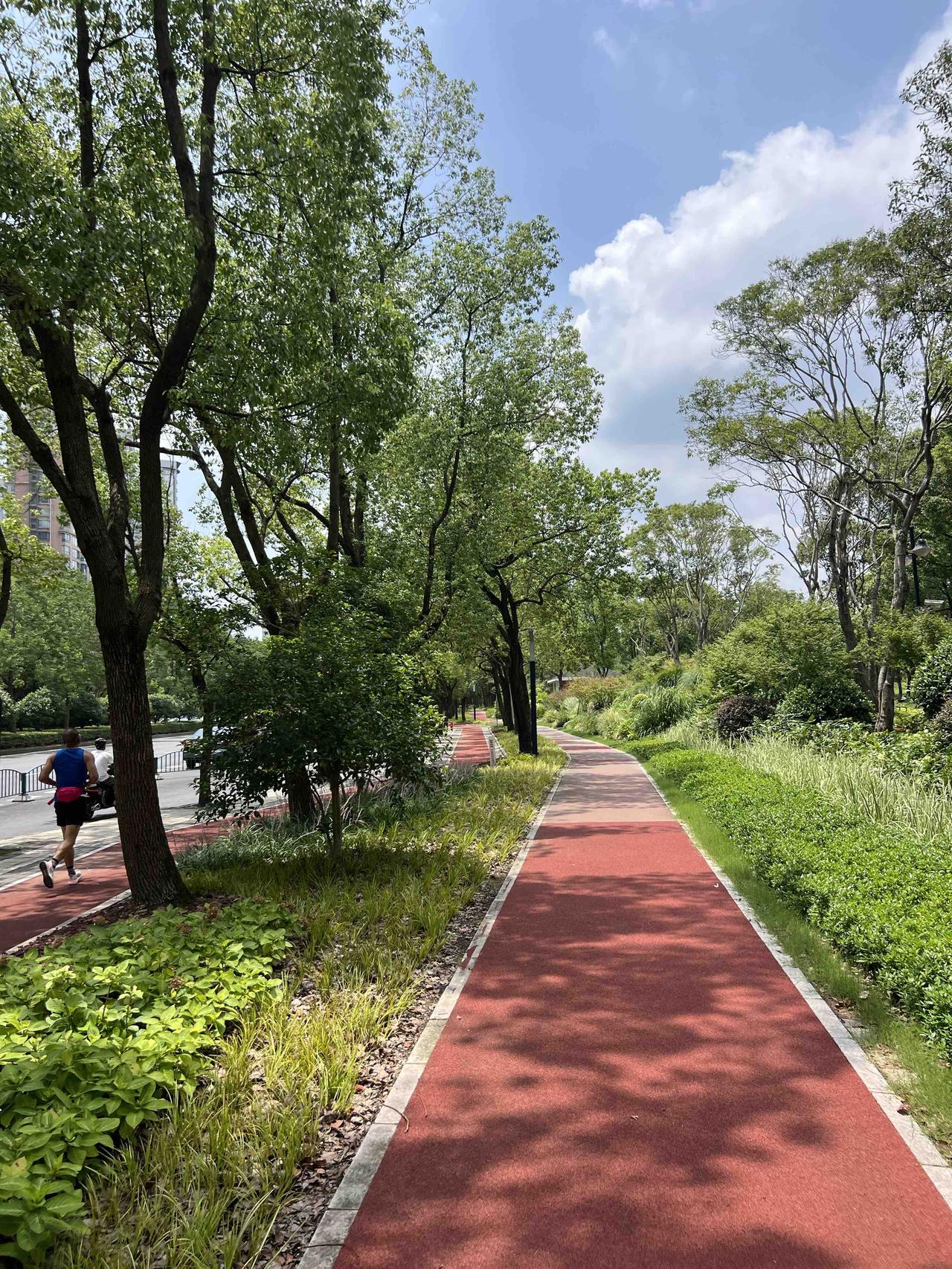 路遇中暑今天中午室外温度有36度，慢跑的时候看到跑步道上围着几个人，原来是一个