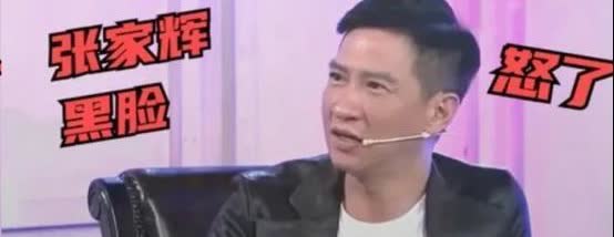 一次，主持人华少问张家辉，听说你在香港只有一套房？面对华少的炫耀，张家辉说，是啊