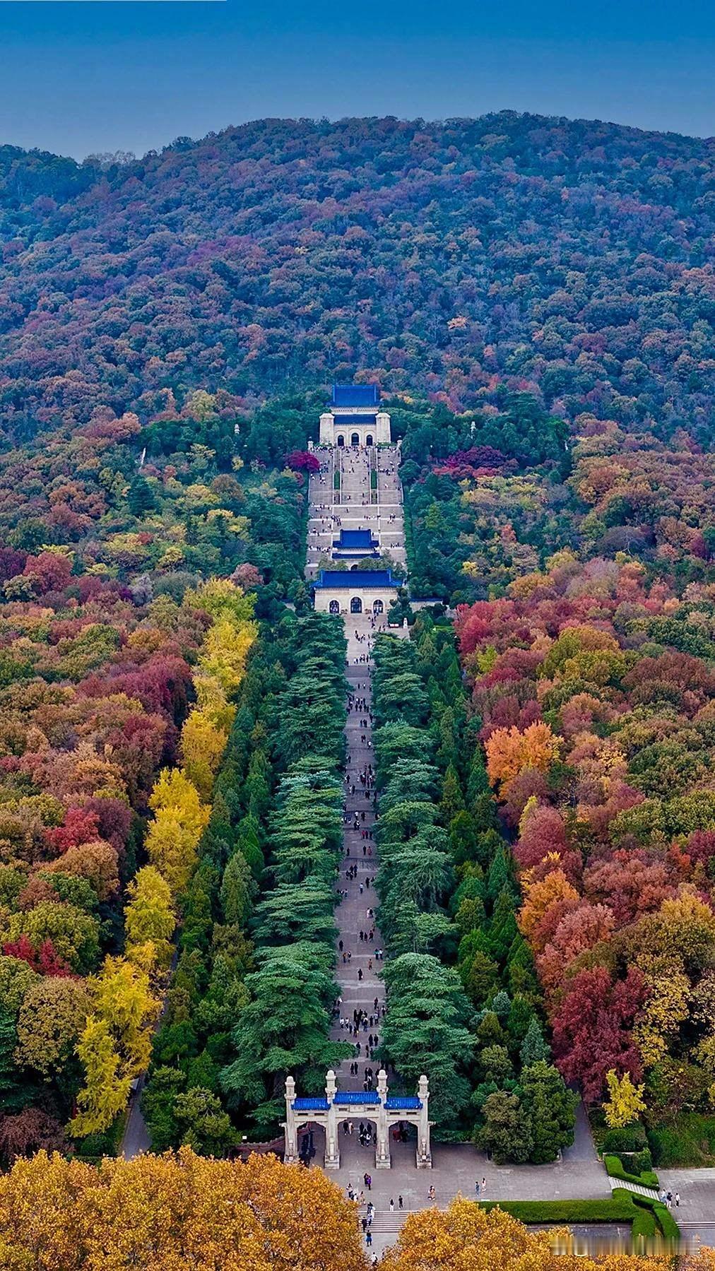 我对南京这项很不满意作为一个南京人，对南京的绝大部份都是满意的，就是对钟山风景