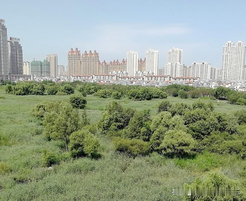 哈尔滨楼市2026年来了。哈尔滨楼市的房东对于房价也比较佛系了，对于哈尔滨房东