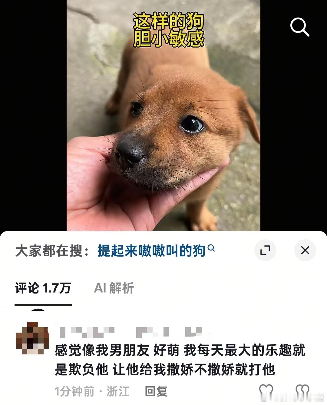 国产浪漫