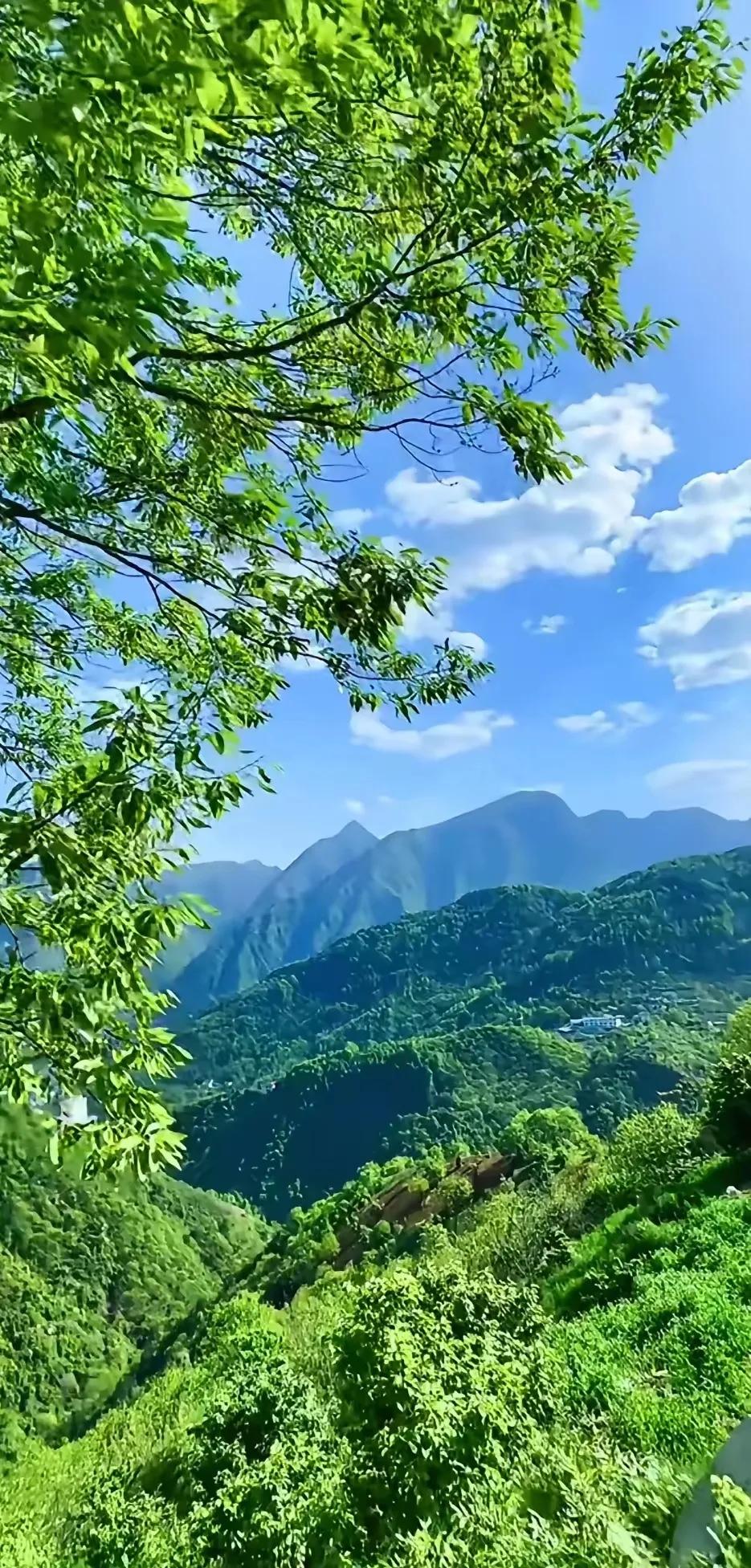 说得对！现在的学术造假太严重了几乎是无处不在啊。一些院士博导院长们，为了名利