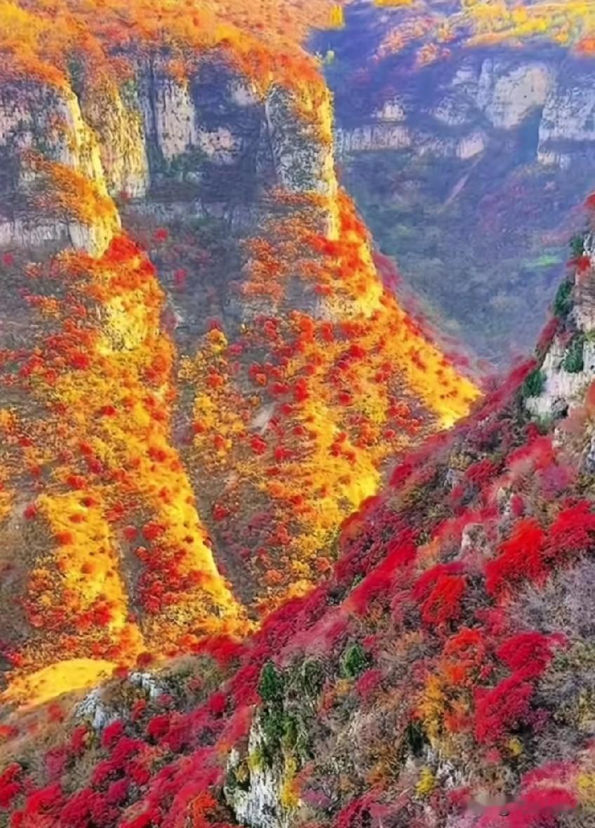 胃癌的战友们，你们知道到外地大医院就医也即异地就医该如何报销吗？在确诊胃癌后，