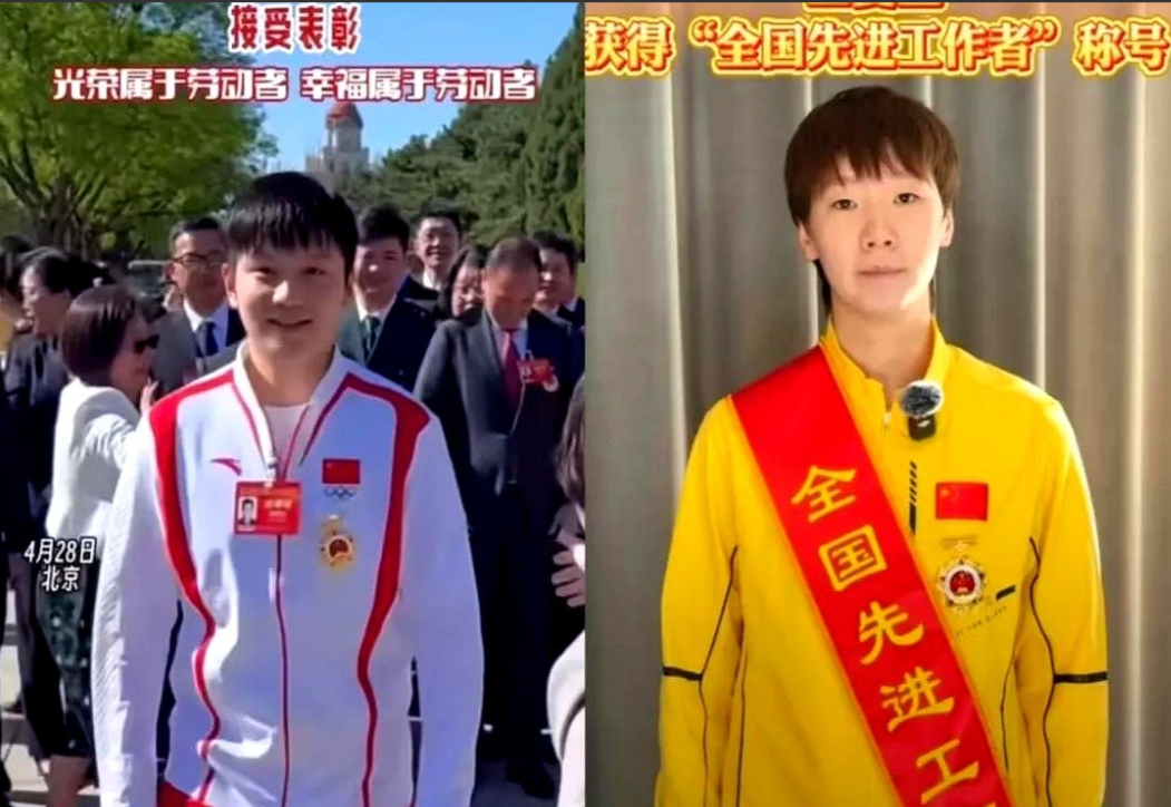实锤了！樊振东短期内不会回归了！不过最近有个消息倒是挺有意思的，全国劳模表彰