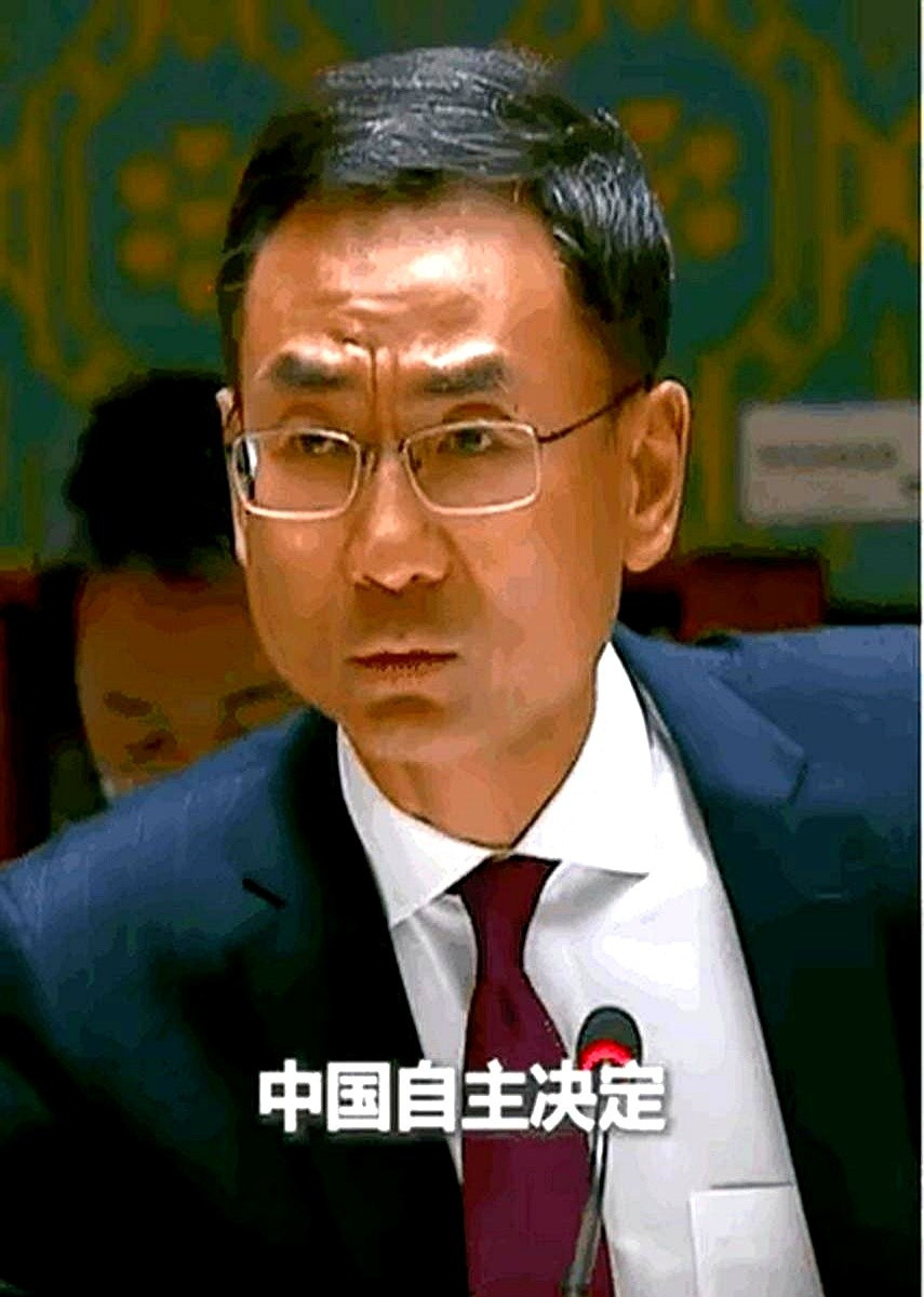 耿爽发言火了，大家都学他说话话说最近耿爽又火了一把！不是
