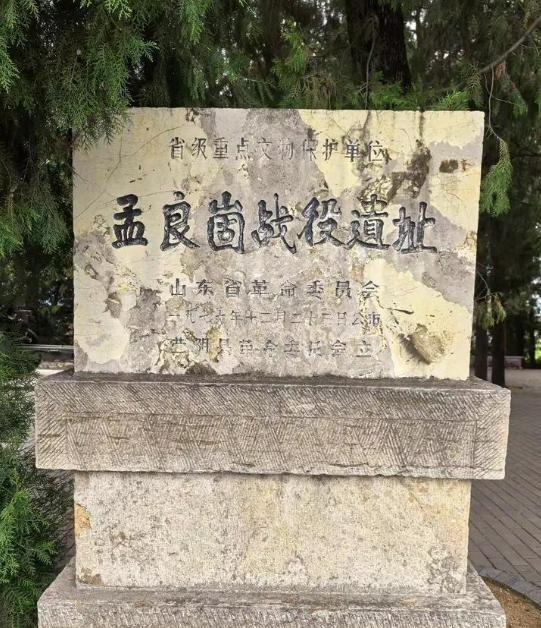 1947年，国民党74师在战斗中全军覆没，副师长邱维达赶到孟良崮战场，看到战士们