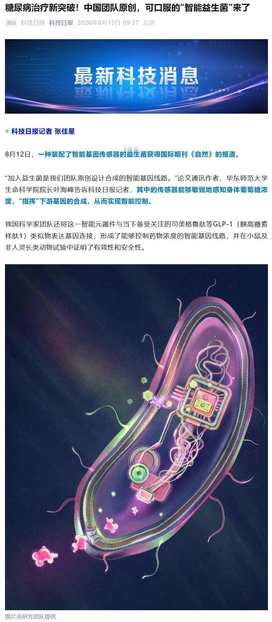 【糖尿病治疗迎来新突破】中国团队开发出可口服智能益生菌8月13日消息，我国科研团