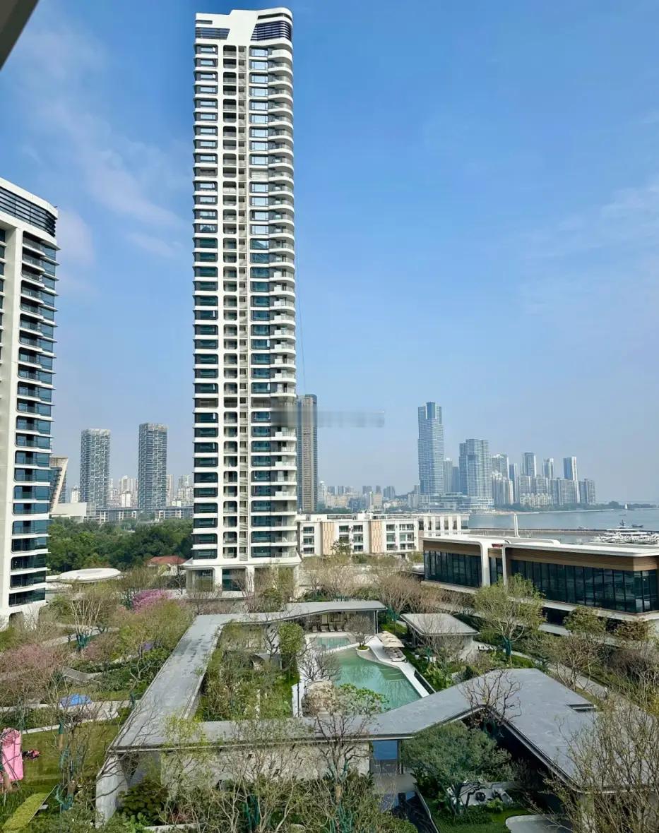 2025上半年，深圳蛇口片区挂盘均价逆势上涨11.5％，达到11.9万/㎡。而香