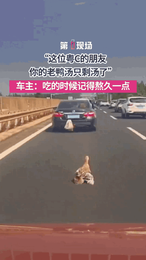 这也太逗了吧！这视频都火到新华社了！近日在广西，一位车主回家