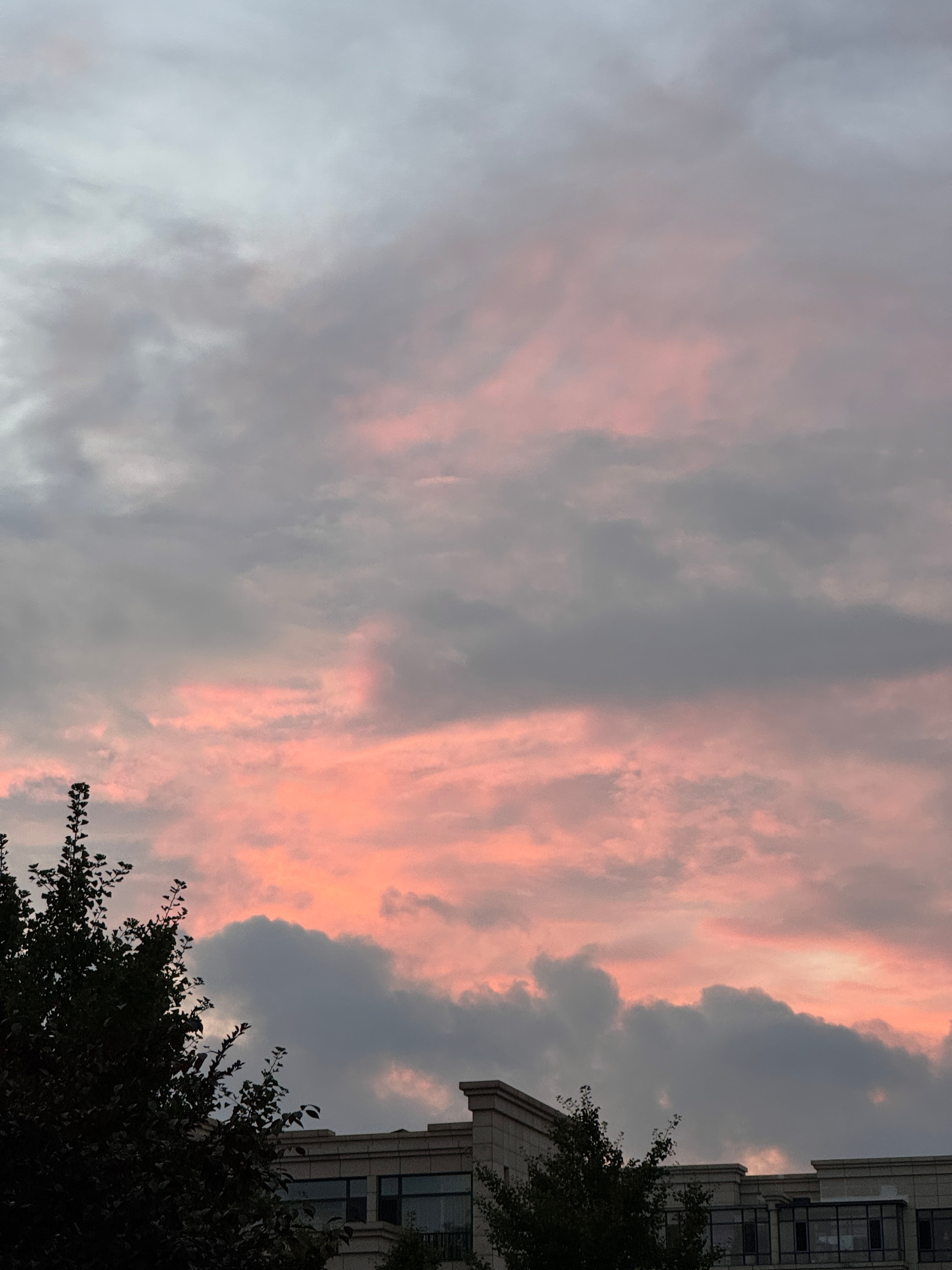 平静的拥有小猫与晚霞☁️的7月清风徐来美好而不自知​​​