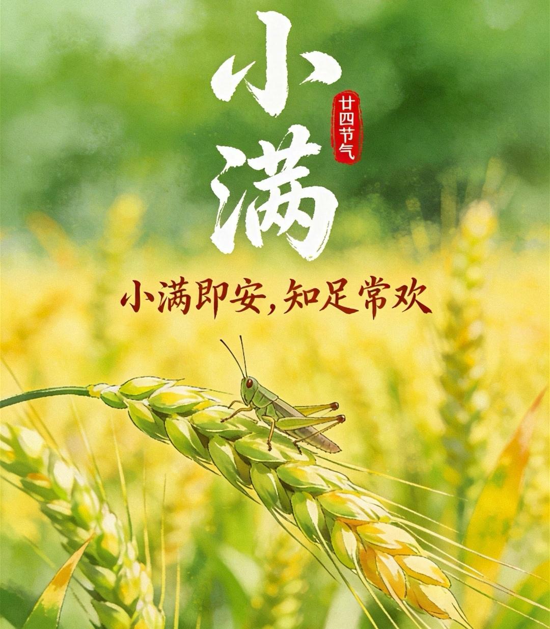 小满时节福气渐满生活知足岁岁安康。