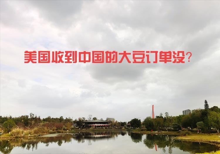 美国大豆已经没有竞争力了！由于特朗普政府加征关税的影响，美国大豆到岸价每吨比