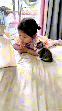 注意看！这家里自从添了这只小奶猫，姑娘的心眼子就全在猫身上了！以前天天黏着爸妈撒