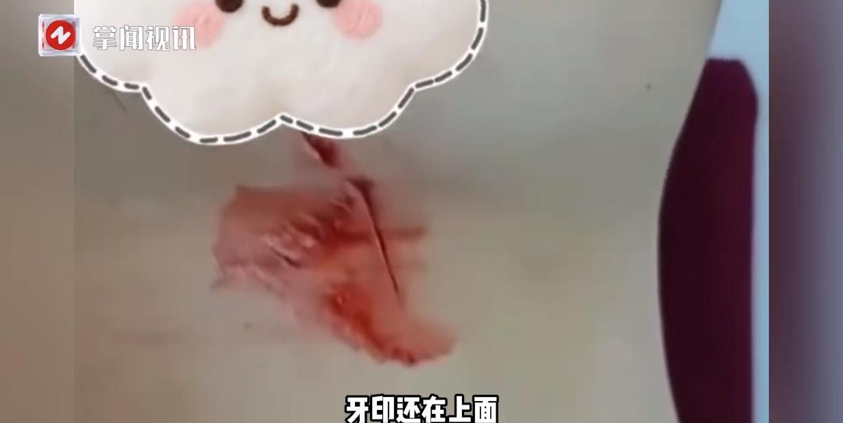“活久见！”9月2日，辽宁大连，一男子在海边钓鱼时，突然钓上来一条重达几十斤的鲅