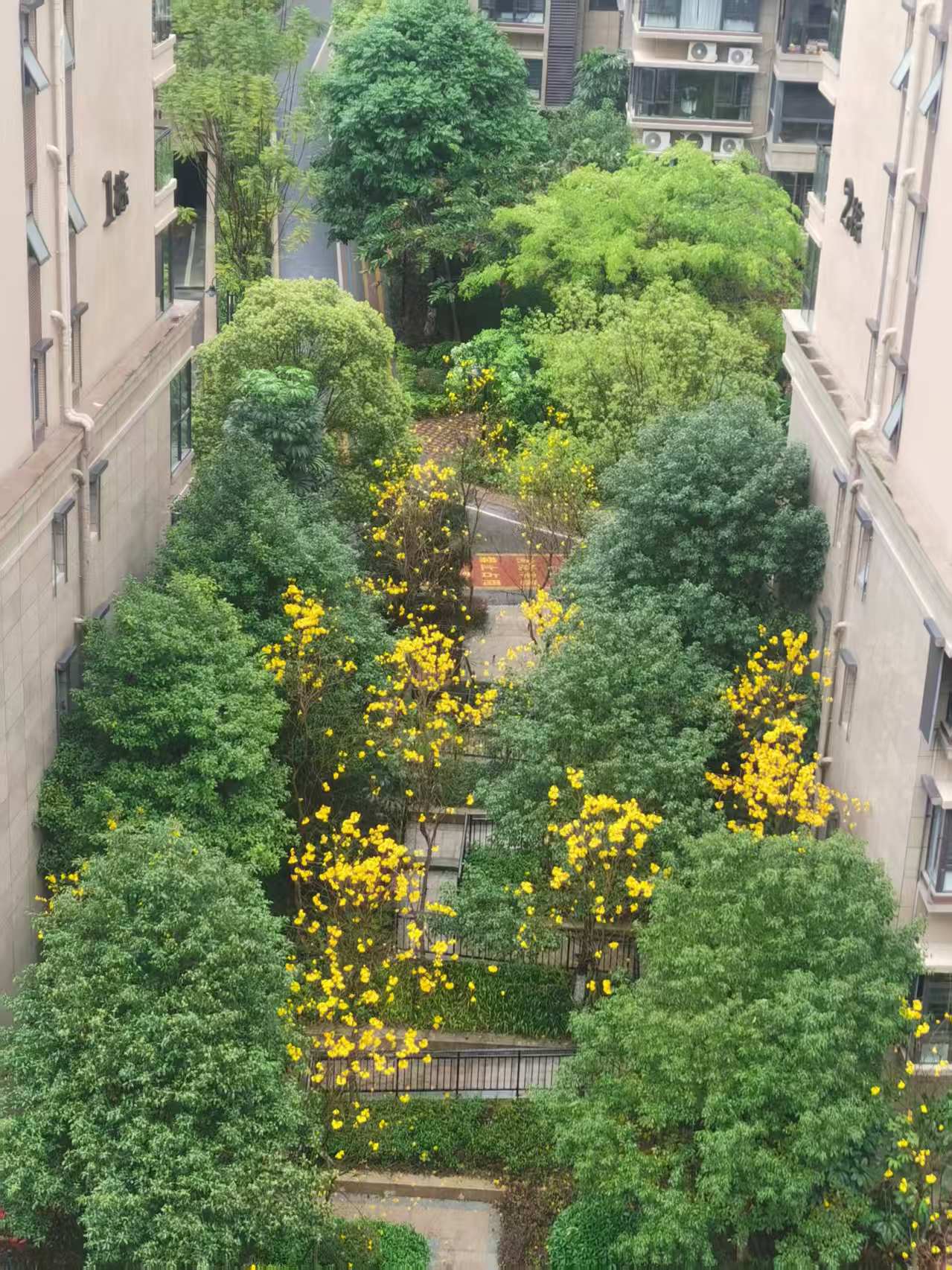 阳台是住宅的“气口”，推窗见绿，风水中这叫“明堂见绿，青龙有情”。不高不矮，恰好