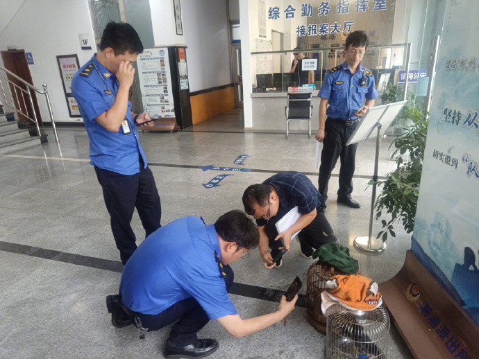 #宁波有人养了一只鸟被立案调查#日前，宁波市镇海区综合行政执法局澥浦中队在现场