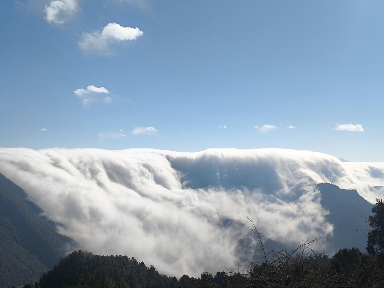 我们的A股。用银行来护盘，导致指数失真了。用ETF来压盘，导致权重股股价已经
