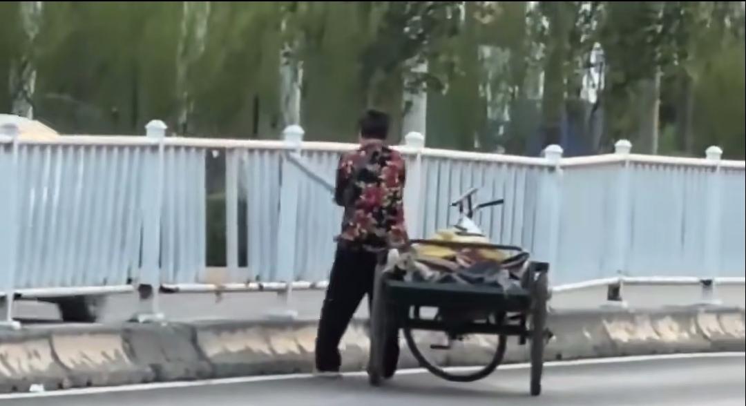 先踹后掰，大妈拆护栏拉走，究竟所为何事？不知出于何种缘由，这位推着三轮车一路走